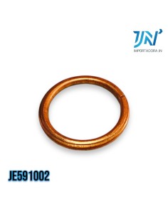 ANILLO DE FUEGO BAJAJ RE205 2