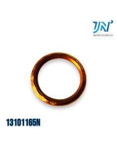 ANILLO DE FUEGO RE205/MTNA 2