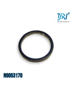 ANILLO DE FUEGO TVS KING/APACHE 180 2